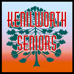 Seniors Website
