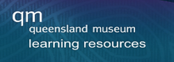 Queensland Museum learning resources