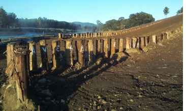 Completed groins of 6m timber piles